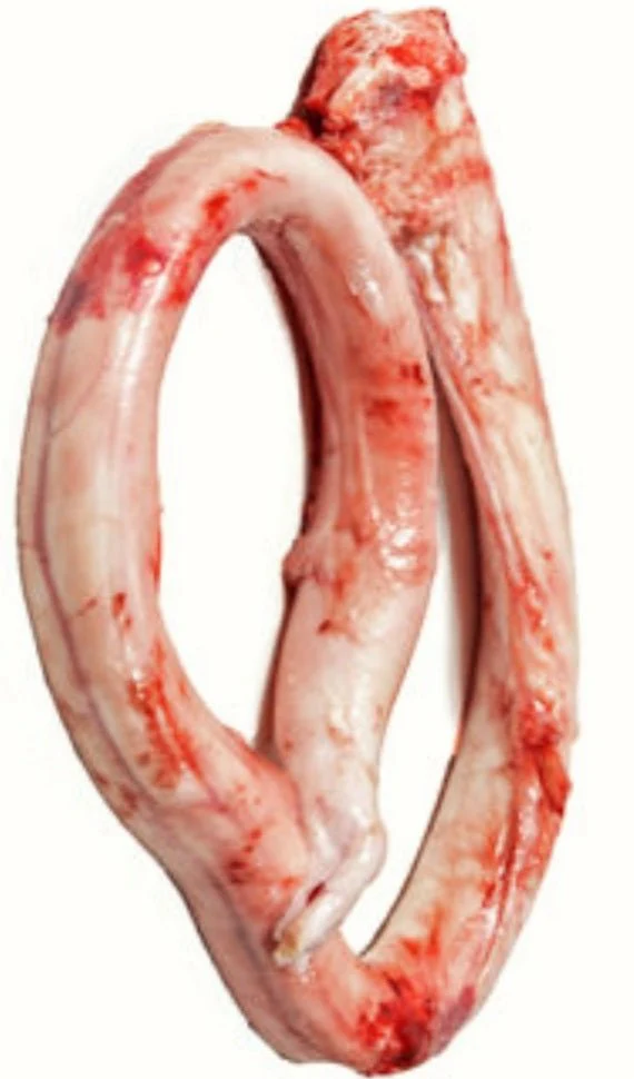 Raw Material Inspection